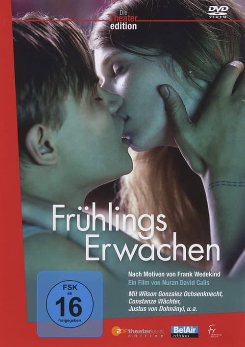 Frühlings Erwachen (2009) poster