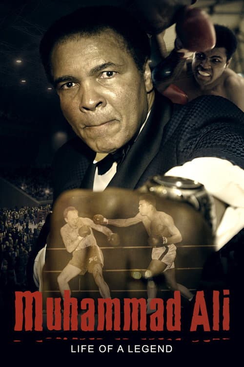 Muhammad Ali: Life of a Legend (2017) poster