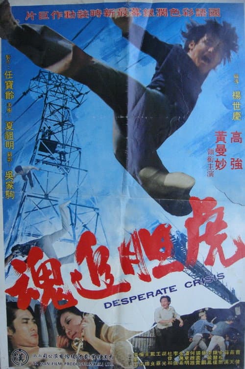 Hu dan zhui hun (1974) poster
