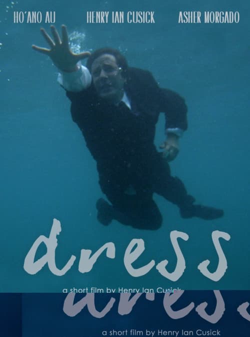 Dress (2013) poster
