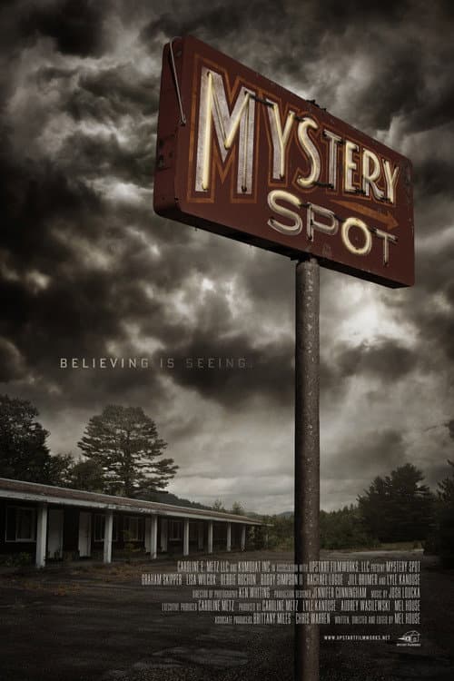 Mystery Spot (2021) poster