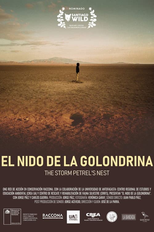 El nido de la golondrina (2024) poster