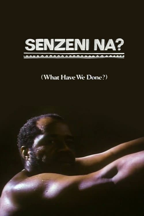 Senzeni Na? (1990) poster
