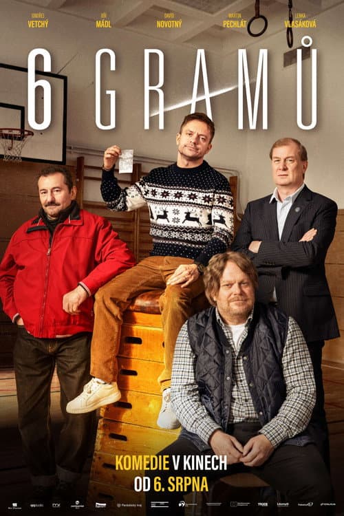 6 gramů (2026) poster