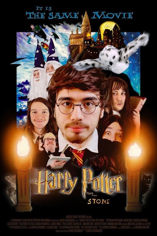 Harry Potter and the Stone (2024) poster