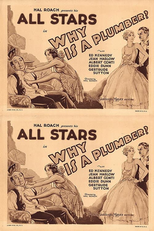 Why Is a Plumber? (1929) poster