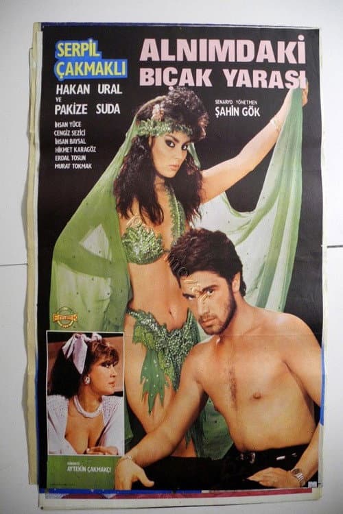 Alnımdaki Bıçak Yarası (1987) poster