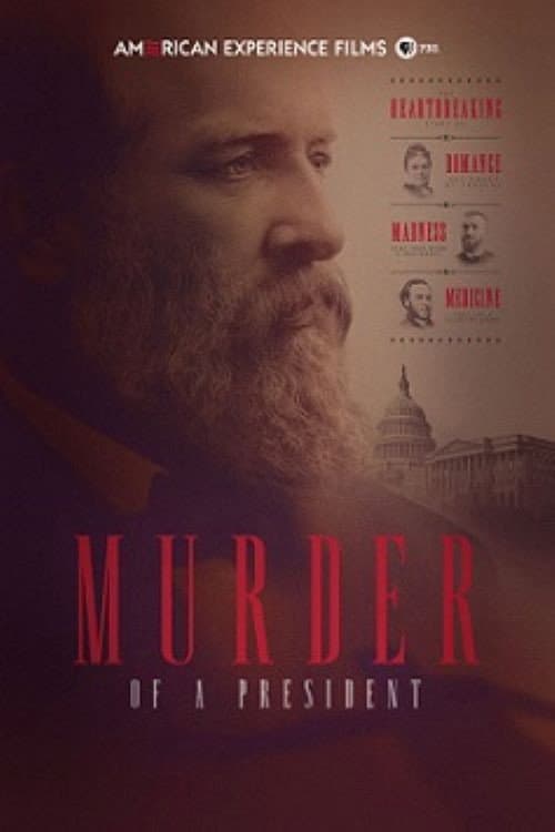 Murder of a President (2016) poster