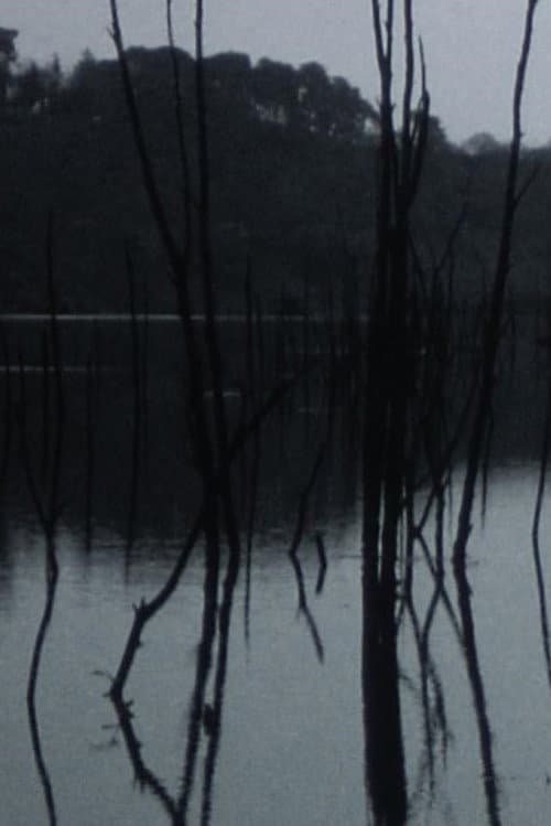 Sleeping waters (2016) poster