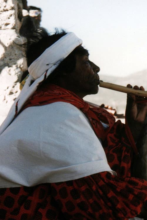 Artaud et les Tarahumaras (1996) poster