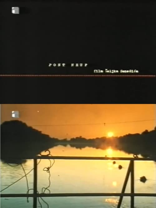 Pont Neuf (1997) poster