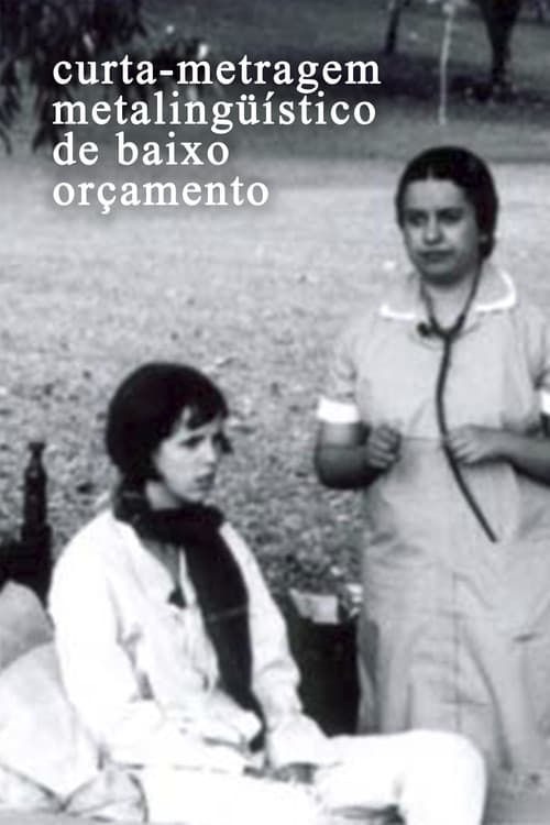 Curta-metragem Metalinguístico de Baixo Orçamento (2003) poster