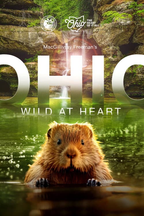 Ohio: Wild at Heart (2025) poster