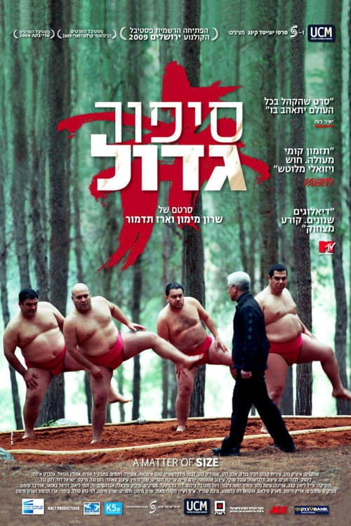 סיפור גדול (2009) poster