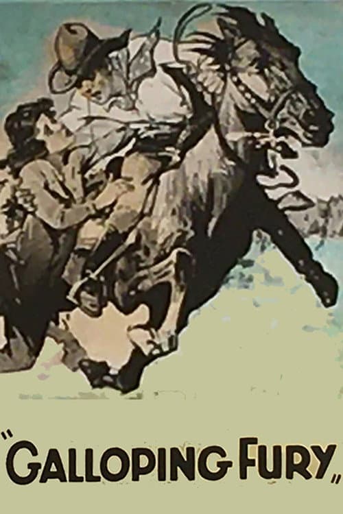 Galloping Fury (1927) poster
