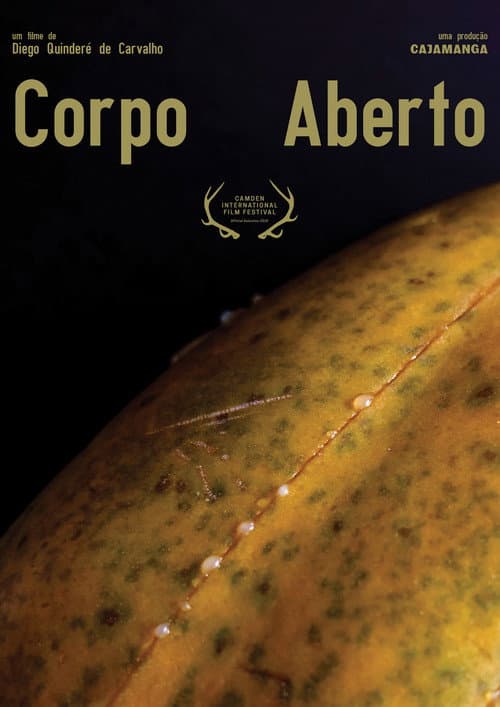 Corpo Aberto (2019) poster