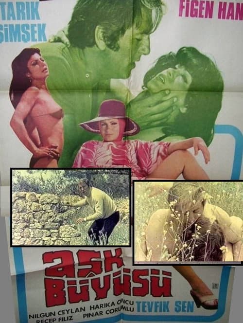 Aşk Büyüsü (1979) poster