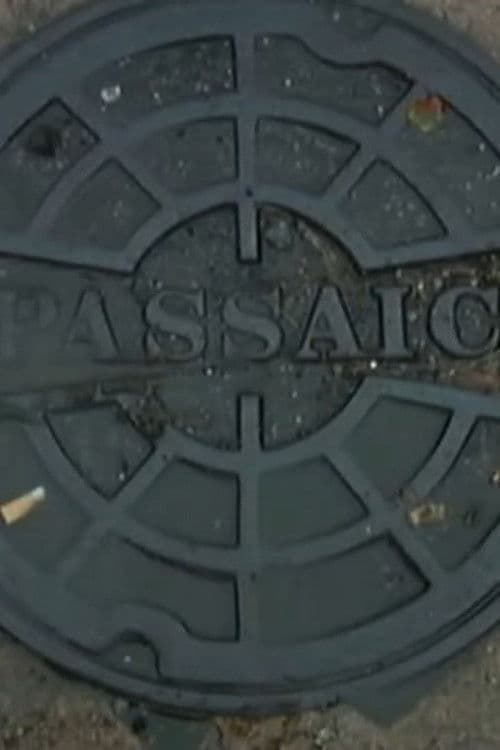 Passaic Mosaic (2008) poster