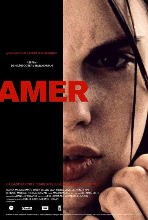 Amer (2009) poster