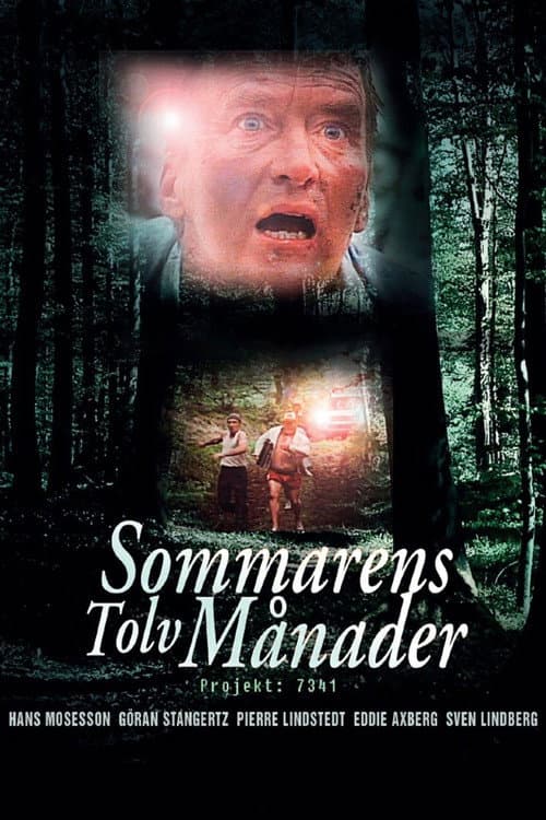 Sommarens Tolv Månader (1988) poster