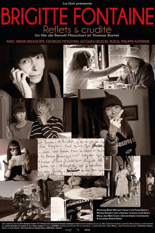 Brigitte Fontaine : Reflets et crudité (2013) poster