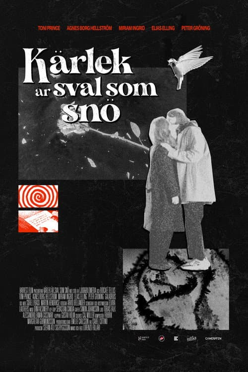 Kärlek är sval som snö (2023) poster