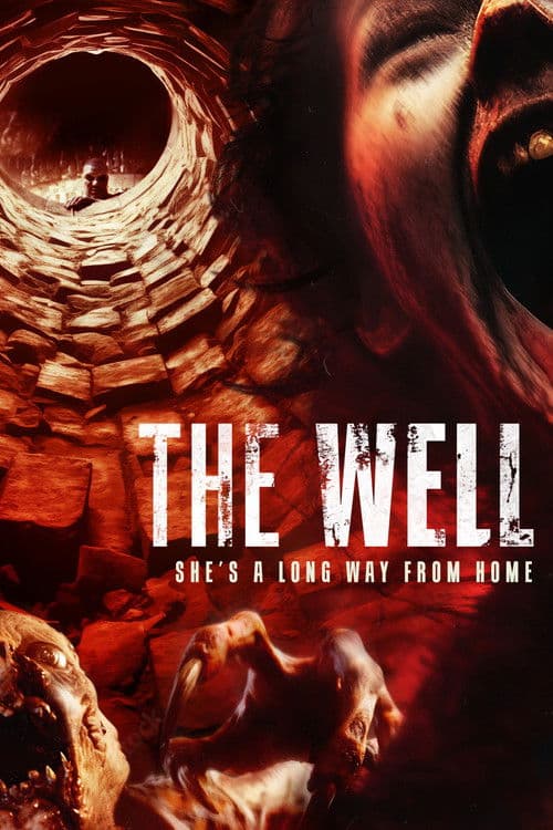 The Well (2024) poster