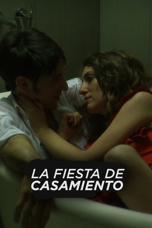 La fiesta de casamiento (2011) poster
