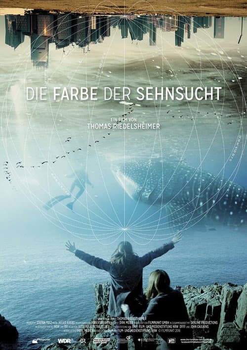 Die Farbe der Sehnsucht (2017) poster