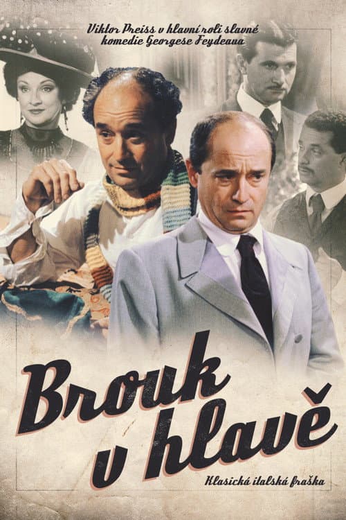 Brouk v hlavě (2003) poster