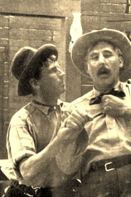 The Stage Driver's Daughter (1911) poster