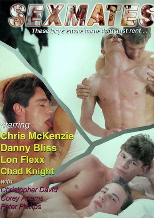 Sexmates (1992) poster