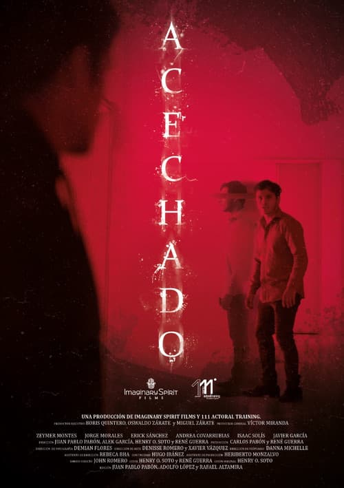 Acechado (2022) poster