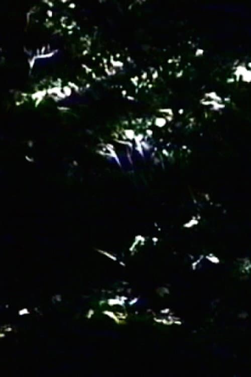 The Darkening (2000) poster