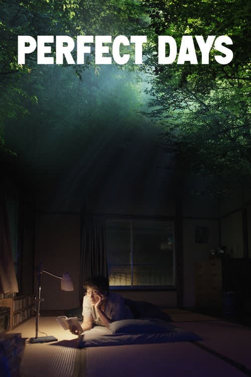 Perfect Days (2023) poster