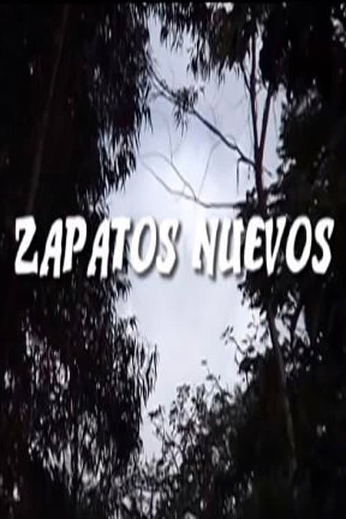 Zapatos Nuevos (2005) poster