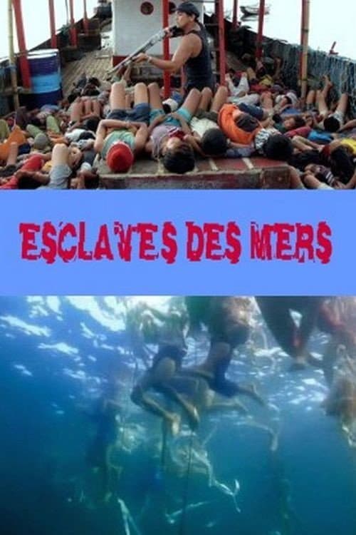 Esclaves des mers (2009) poster