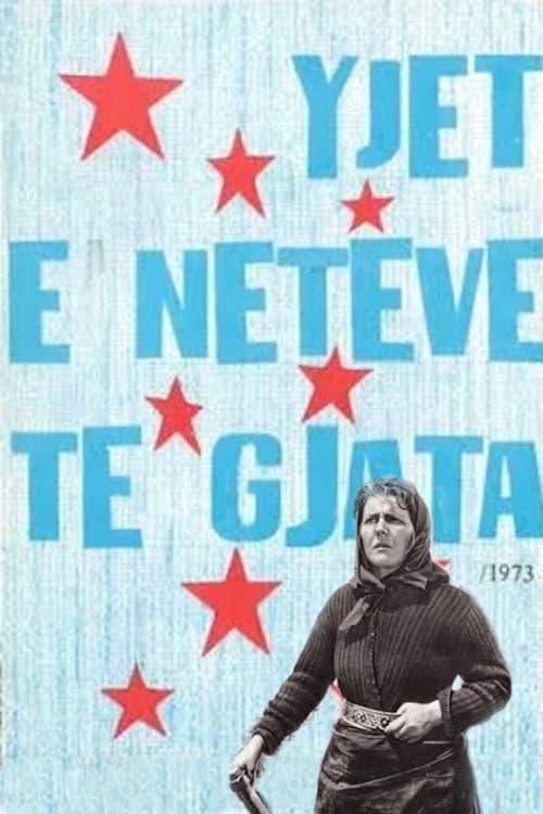 Yjet e netëve të gjata (1972) poster