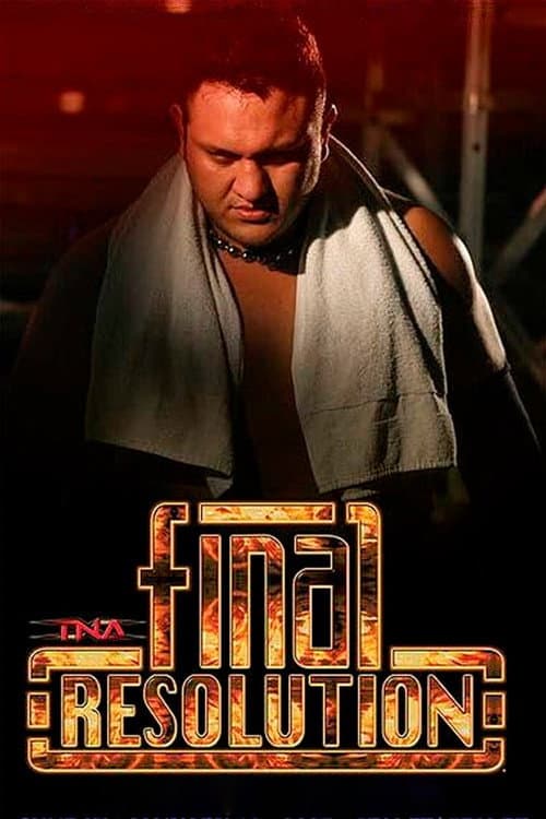 TNA Final Resolution 2007 (2007) poster