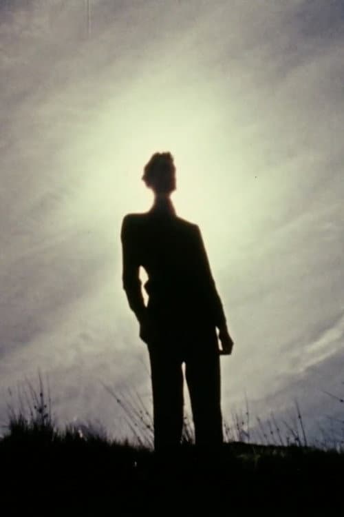 The Secret (1973) poster