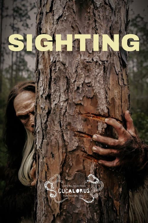 Sighting (2025) poster