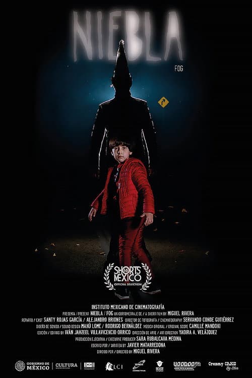 Niebla (2021) poster