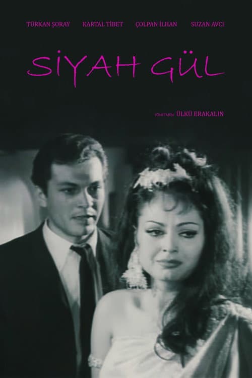 Siyah Gül (1966) poster