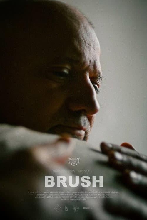 Brush (2026) poster