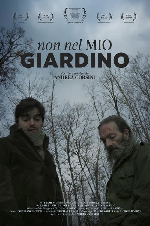 Non Nel Mio Giardino (2011) poster