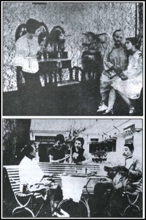 Lily van Java (1928) poster