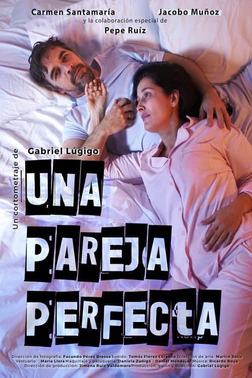 Una pareja perfecta (2026) poster