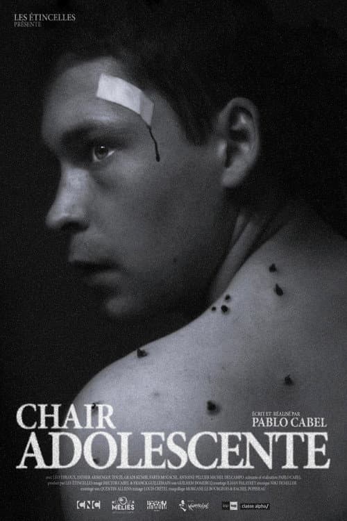 Chair Adolescente (2026) poster