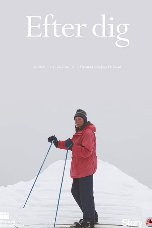 Efter dig (2013) poster