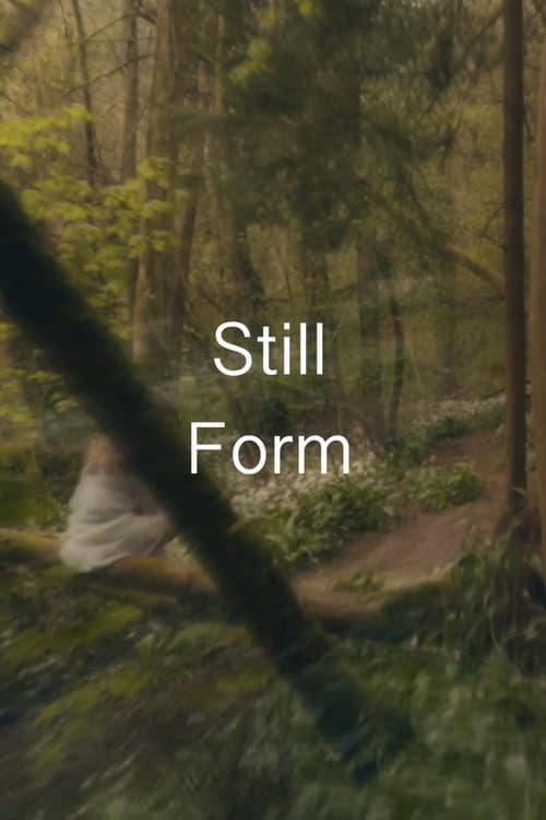 Still Form (2026) poster
